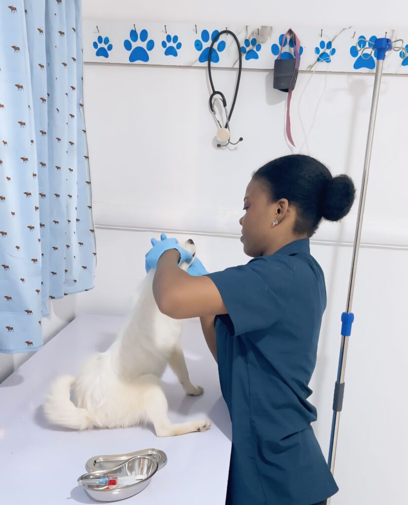 Petmedic Veterinary clinic & services | 1724344826663