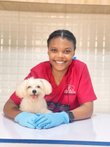 Petmedic Veterinary clinic & services | petmedic 3